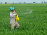 Govt provides nearly Rs 1.71 lakh cr as fertiliser subsidy till Jan in 2023-24