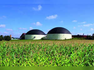 Solidify the Huge Biogas Potential