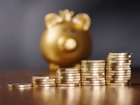 Tax benefits of SGBs