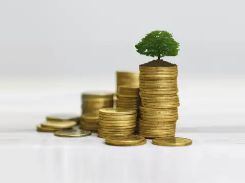 SGBs: Indexation benefits that you get