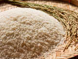 Looking at developing HSN codes for certain varieties of rice: Official