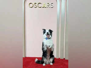 Oscar Nominees Luncheon 2024: Dog from 'Anatomy of a Fall' grabs eyeballs