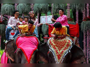 Couples get their marriage licenses while riding elephants on Valentine's Day, in Chonburi