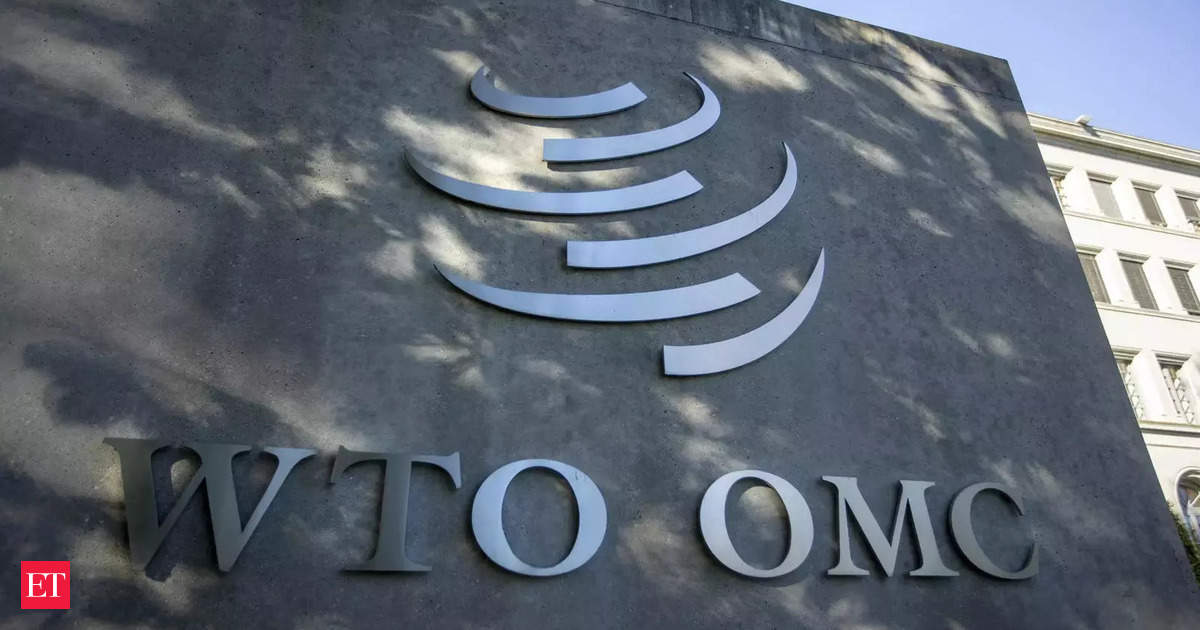 At WTO, India proposes lower cost of cross-border payments