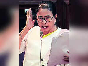 Mamata Alleges Attempt to Change Constitution Spirit