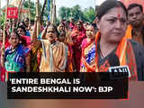 Sandeshkhali incident, it is all across Bengal..., alleges BJP MLA Agnimitra Paul