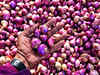 India allows export of onions to select nations