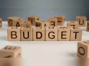 budget (1)