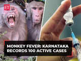 Monkey fever: Karnataka records 100 active cases, 2 deaths, informs Health Minister Dinesh Gundu Rao