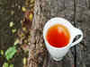 How to make giloy tea for maximum health benefits?