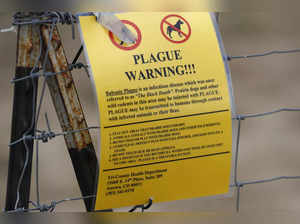 An Oregon resident was diagnosed with the plague. Here are a few things to know about the illness