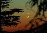 In Pakistan delink, Mirwaiz panel to verify Ramazan moon sighting