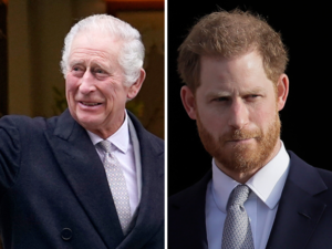 Did Nostradamus predict about Prince Harry taking over King Charles' throne?:Image