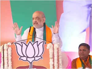 Amit Shah appeals to MP voters to give all 29 LS seats to BJP