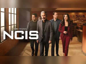 NCIS Season 22 renewal status