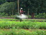 Volume for complex fertilisers to grow 4-5% next fiscal: CRISIL