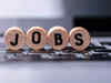 Govt job fair: BFSI leads in hiring; At 20,000 plus, engineering graduates largest participants