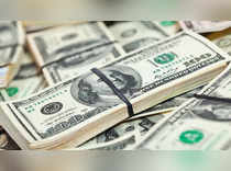 Dollar bounces before inflation data