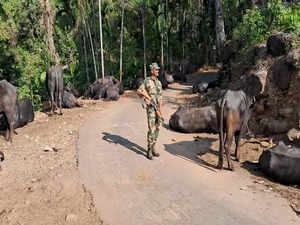 BSF Meghalaya foils smuggling attempts at Indo-Bangladesh border