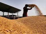 Govt 2nd estimate pegs wheat output at record 112.01 mn tn in 2023-24