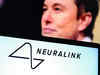 Elon Musk's Neuralink cited by FDA over animal lab issues
