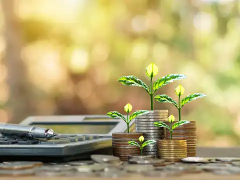 Companies with capability to create profitability