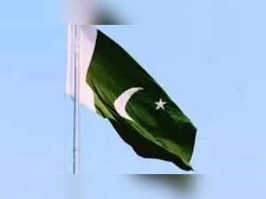 pakistan flag.