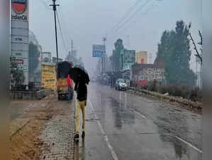 Delhi receives light rain, more showers expected during the day