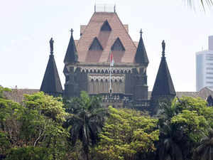 Can't forget July 2005 deluge in Mumbai: HC on plea against Mithi river improvement project