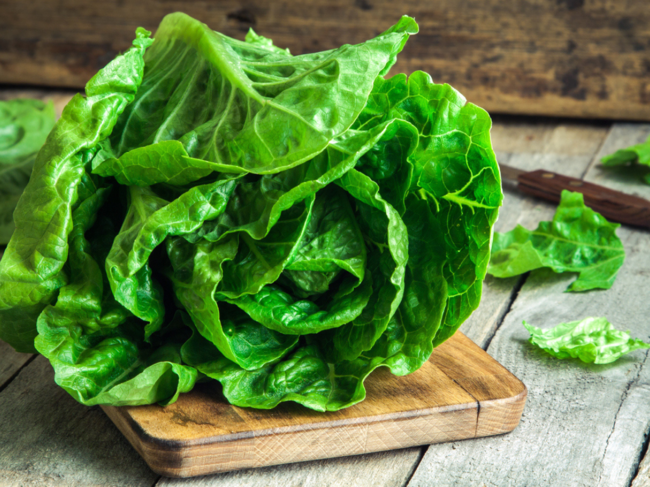 The researchers emphasise the importance of following food safety guidelines, including thorough washing of lettuce and storing it in the refrigerator.