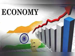 Moody's reiterates India's Baa3 rating but warns of political issues