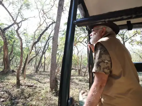 Jungle safari on list