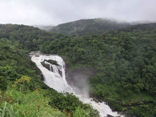 Coorg (Distance: 234 km)
