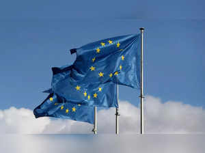 EU European Union.