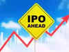 IPO calendar: 7 new issues to hit Dalal Street next week; 8 stocks to list
