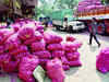 Onion export ban unlikely to be lifted before Lok Sabha polls