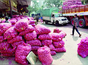 Onion Export Ban Unlikely to be Lifted Before Polls
