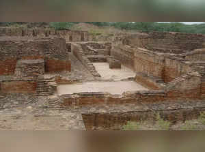 Agroha Archaeological site
