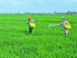 Centre in talks with banks to stop fertiliser subsidy funding