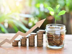 Best focused mutual funds to invest in March 2024