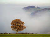 Heavy fog in western Switzerland