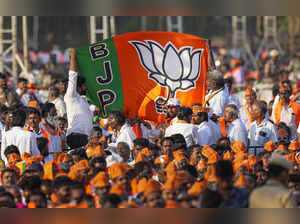 Chennai: BJP supporters during Prime Minister Narendra Modi's public meeting ahe...