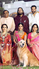 Meet the highly qualified members of the Ambani family