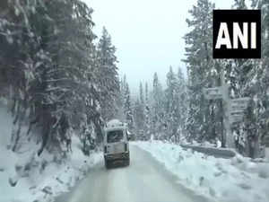 Himachal Pradesh: Fresh snowfall halts vehicular movement on 2 national highways