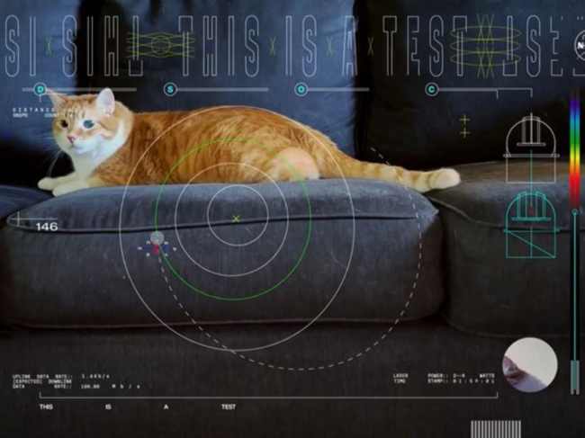 NASA's deep space cat video
