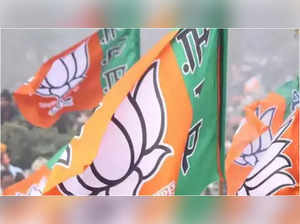 BJP MLA resigns from Gujarat assembly ahead of Lok Sabha polls:Image