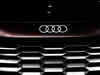 Audi to drive in over 20 new models by 2025-end: CEO Gernot Dollner