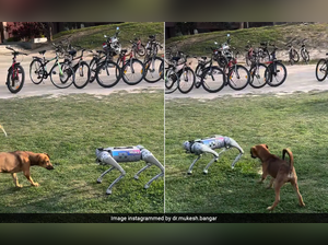 Watch as dogs meet robotic dog on the lawns of IIT Kanpur