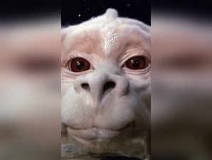 'The Neverending Story' Live-Action Film Adaptation: This is what we know so far