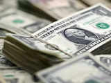 Dollar steadfast as investors seek 'carry'